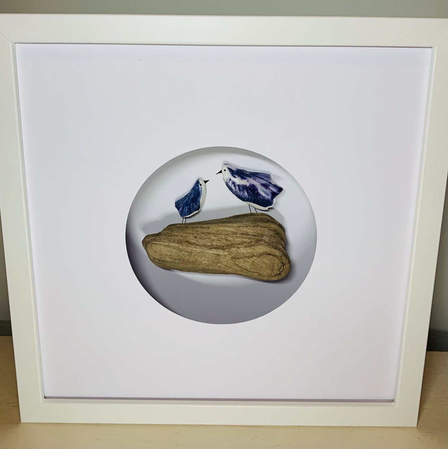 Scottish Mussel Shell Gull Picture