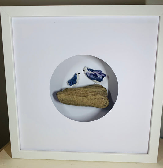 Scottish Mussel Shell Gull Picture