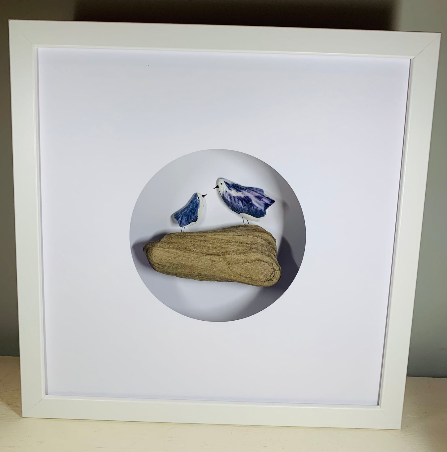 Scottish Mussel Shell Gull Picture