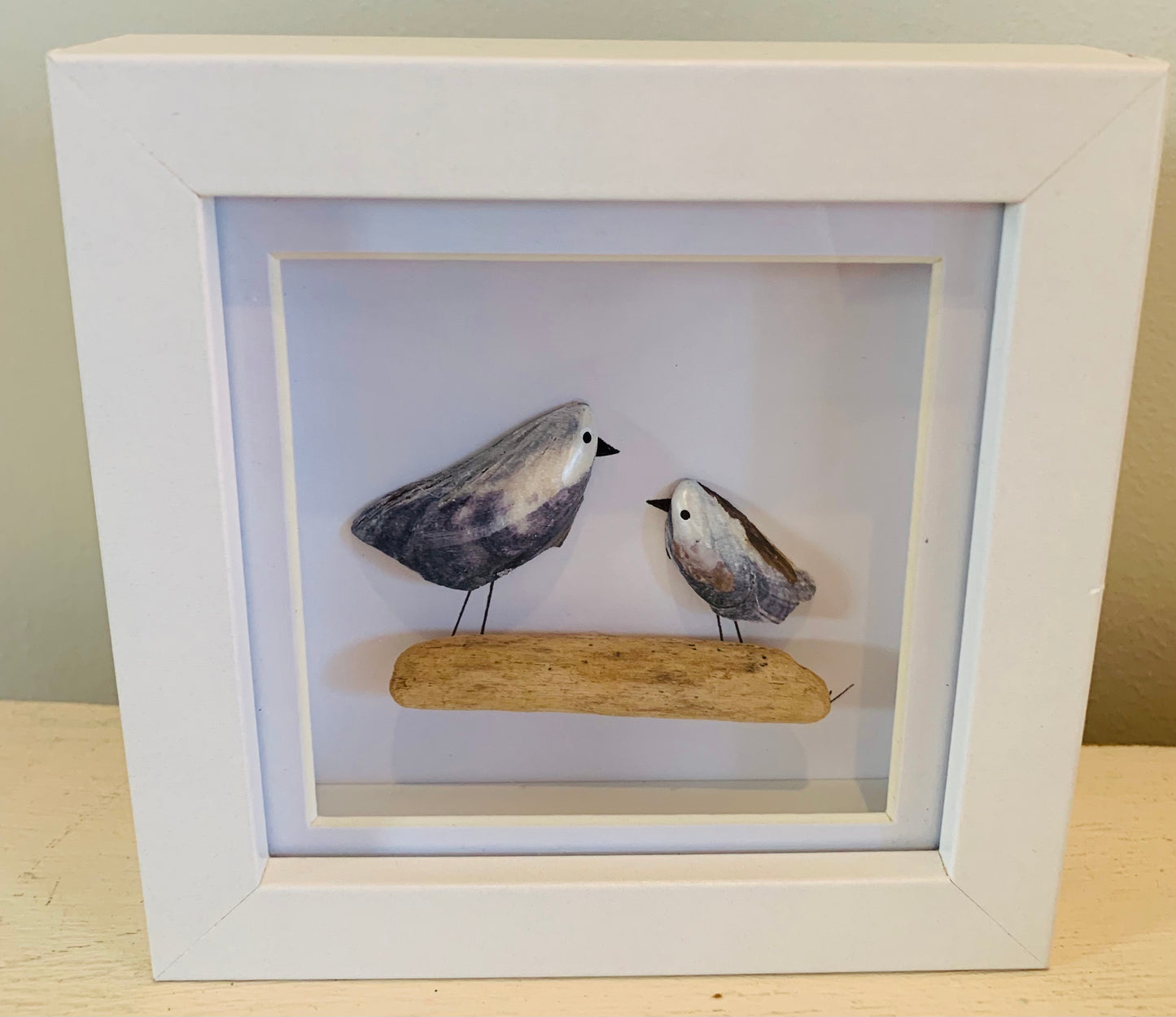 Small Gulls Scottish Mussels Picture